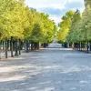 Les arbres dans les parcs et les jardins publics créent des espaces de repos et de détente, favorisant le bien-être psychologique des habitants.