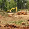 **Déforestation** : La déforestation est l'une des plus grandes menaces pour les arbres.