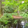 Protéger ces forêts contre l’exploitation et les activités humaines est crucial pour préserver de nombreuses espèces végétales et animales.