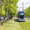 Des programmes de plantation urbaine, comme le projet « Un milliard d’arbres » lancé dans certaines villes, visent à augmenter la couverture arborée des zones urbaines pour lutter contre les effets du changement climatique.