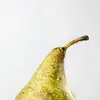 Le **pédoncule** est la tige qui relie les fleurs ou les fruits à la branche.