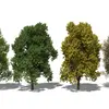 Les noms scientifiques de ces arbres sont souvent constitués de deux termes, par exemple **Quercus robur** pour le chêne pédonculé, avec **Quercus** comme nom de genre et **robur** comme nom d’espèce.